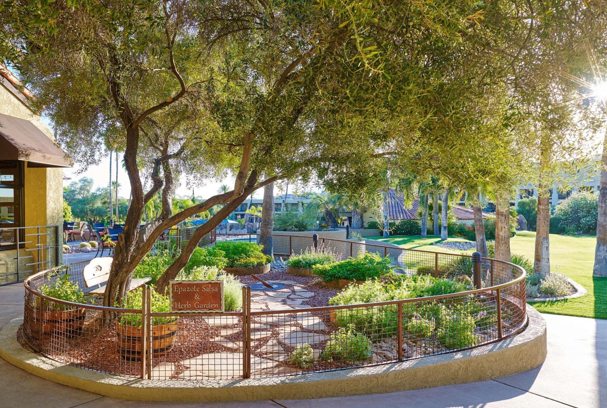 El Conquistador Tucson, A Hilton Resort Oro Valley Esterno foto